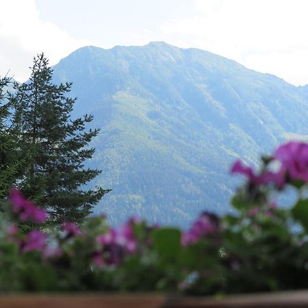 Haus Enzian Appartement Sankt Johann im Pongau Buitenkant foto