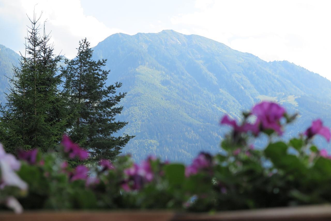 Haus Enzian Appartement Sankt Johann im Pongau Buitenkant foto