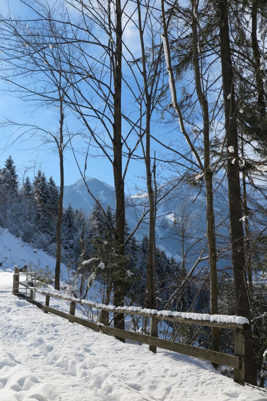 Haus Enzian Appartement Sankt Johann im Pongau Buitenkant foto