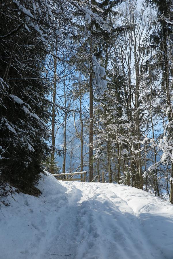 Haus Enzian Appartement Sankt Johann im Pongau Buitenkant foto
