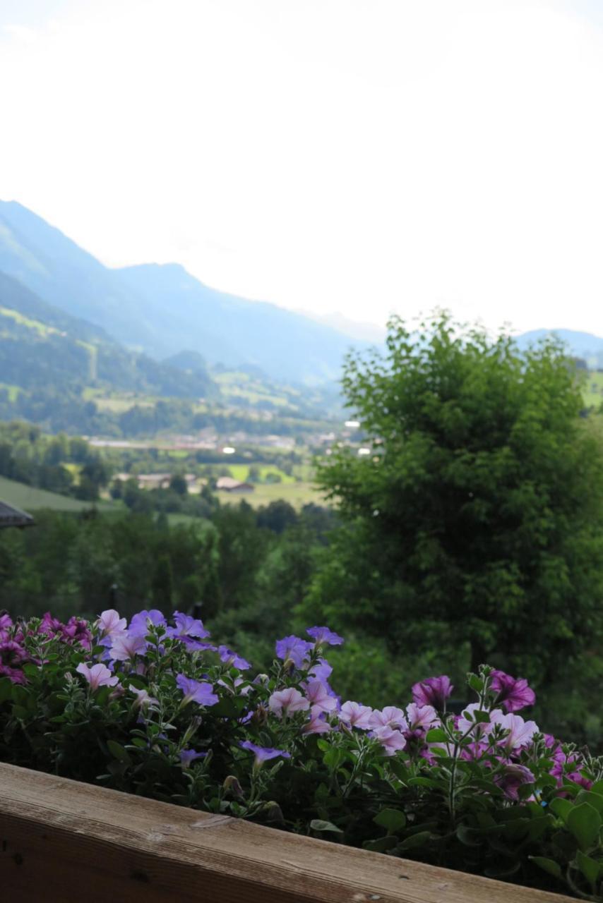Haus Enzian Appartement Sankt Johann im Pongau Buitenkant foto